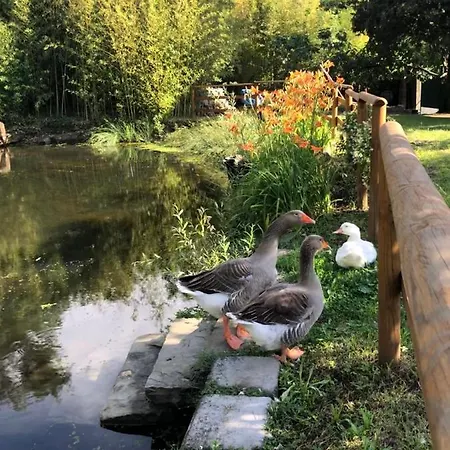 Apartament Esperia Casa Triest